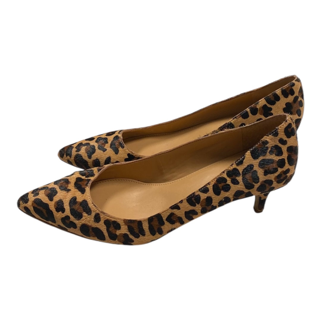 Shoes Heels Kitten By J. Crew In Animal Print, Size:8.5