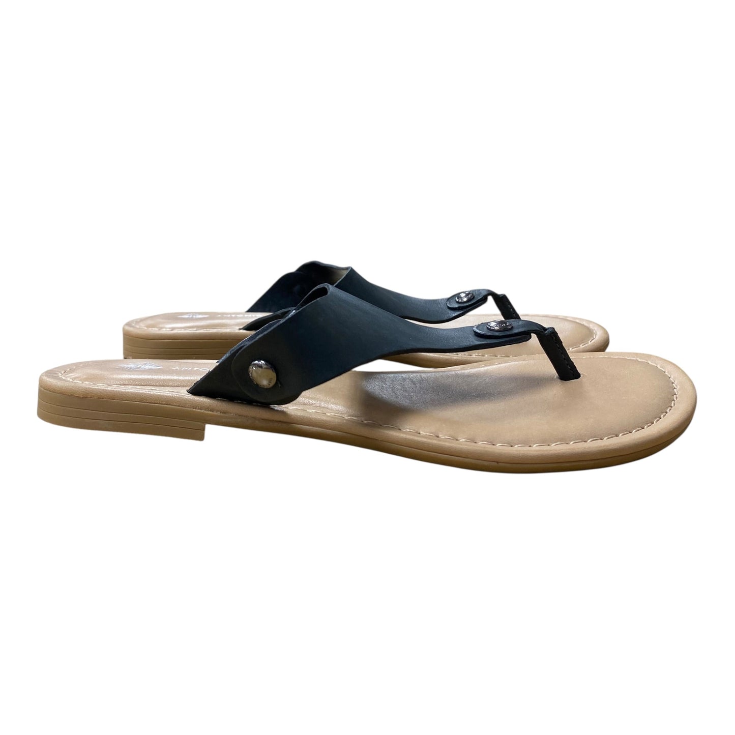 Sandals Flip Flops By Antonio Melani In Black, Size:7