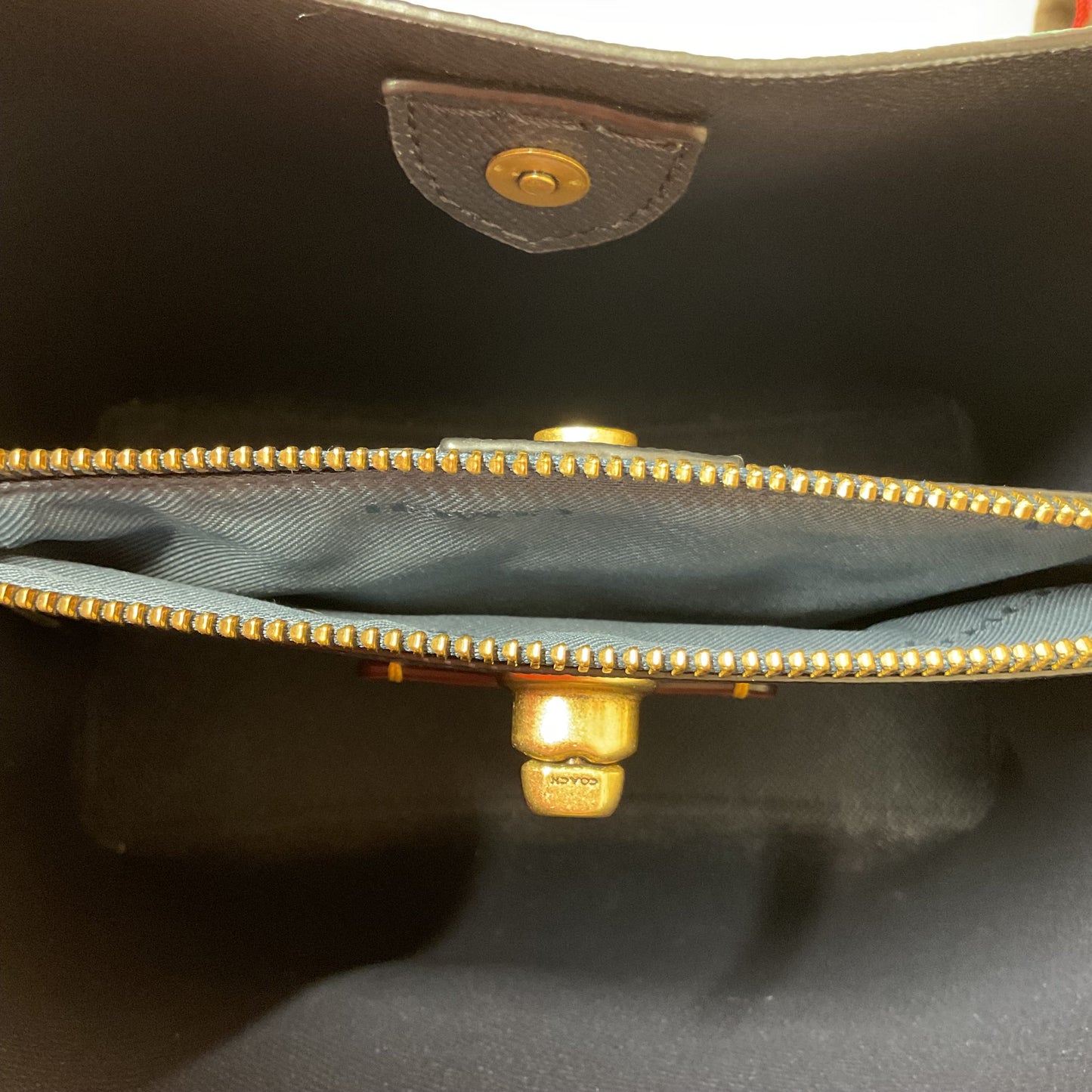 Handbag Designer By Coach In Green, Size:Medium