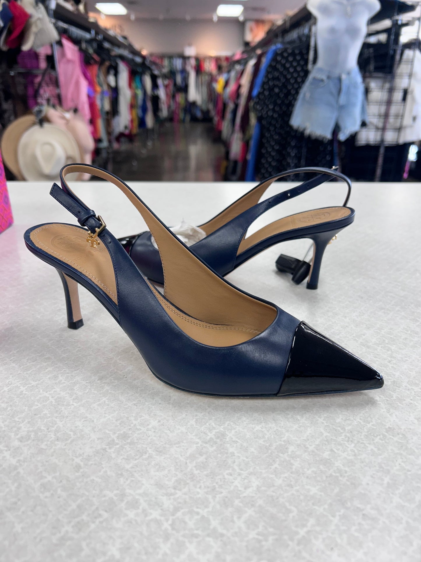 Shoes Designer By Tory Burch In Black & Blue, Size:6