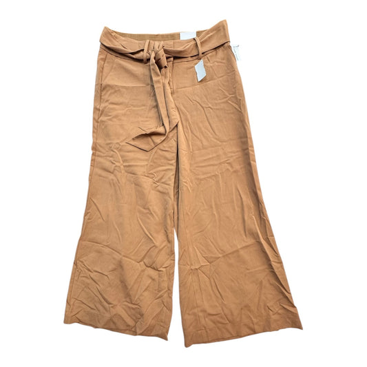 Pants Wide Leg By Lane Bryant In Brown, Size:12P