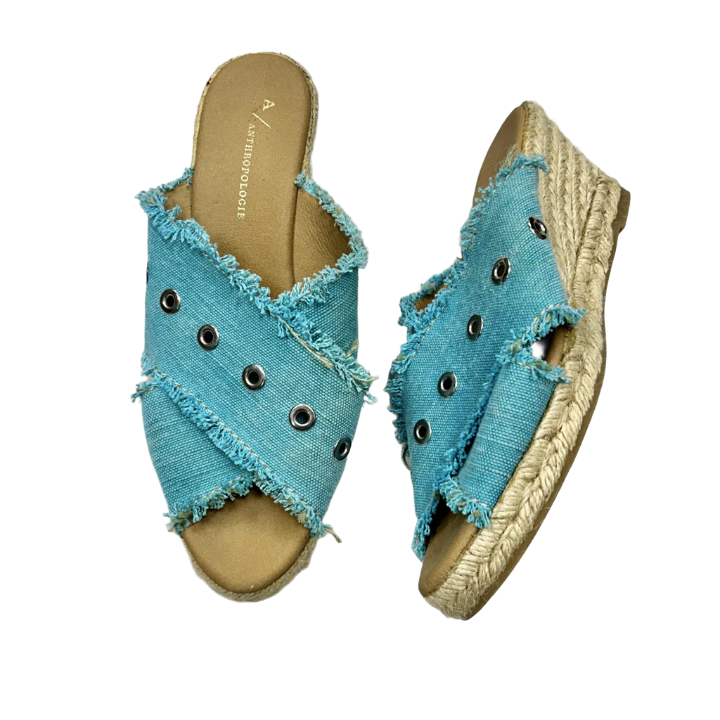 Shoes Heels Wedge By Anthropologie  Size: 9