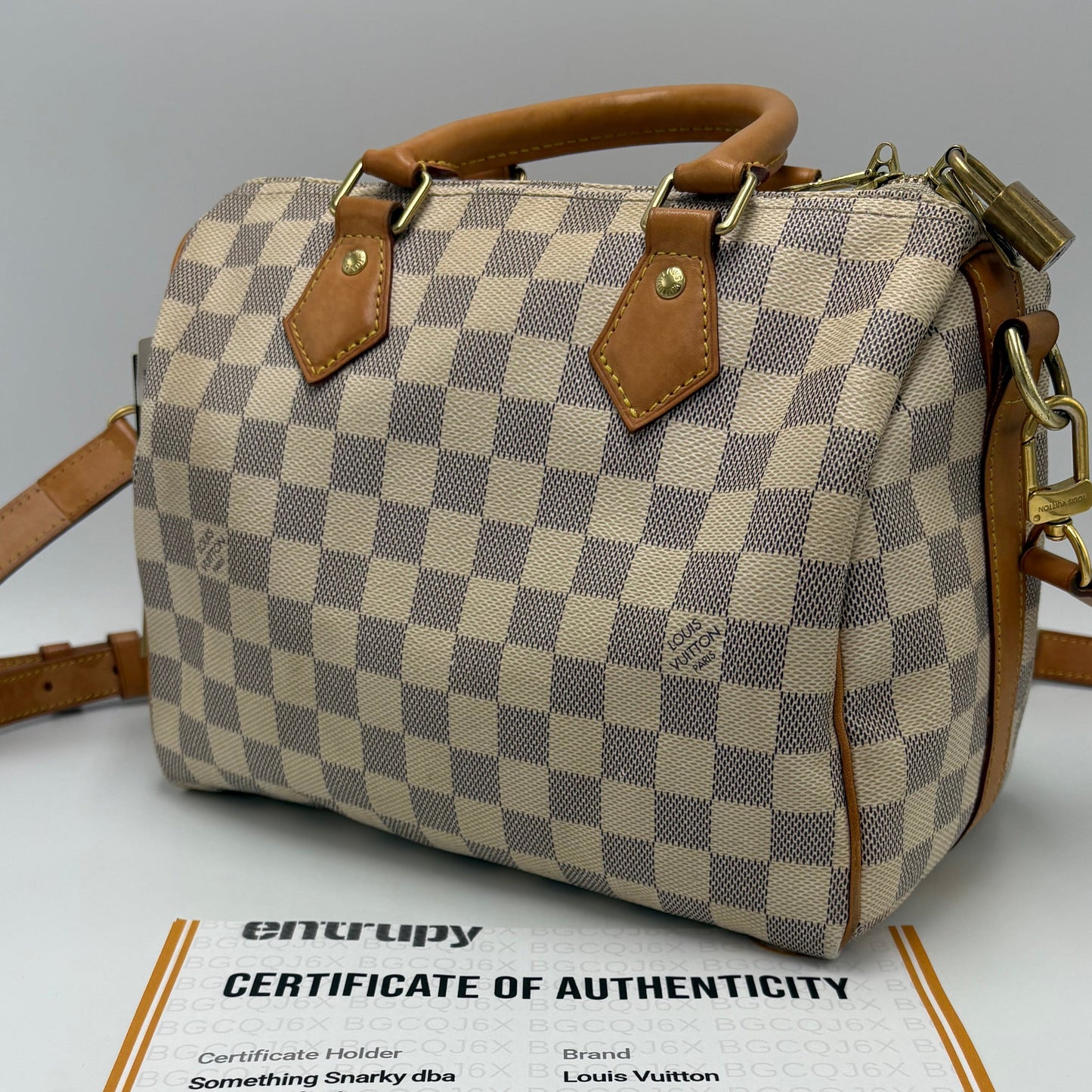 Louis Vuitton Speedy 25 Azur Luxury Handbag
