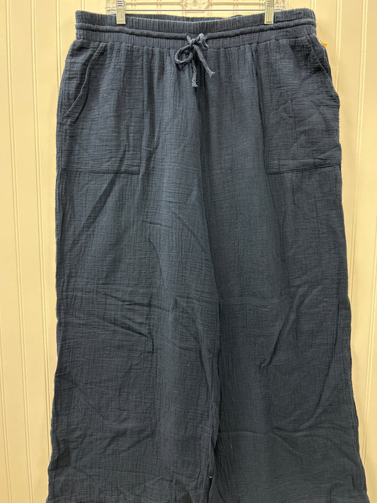 Pants Linen By Style And Company In Navy, Size:Xl