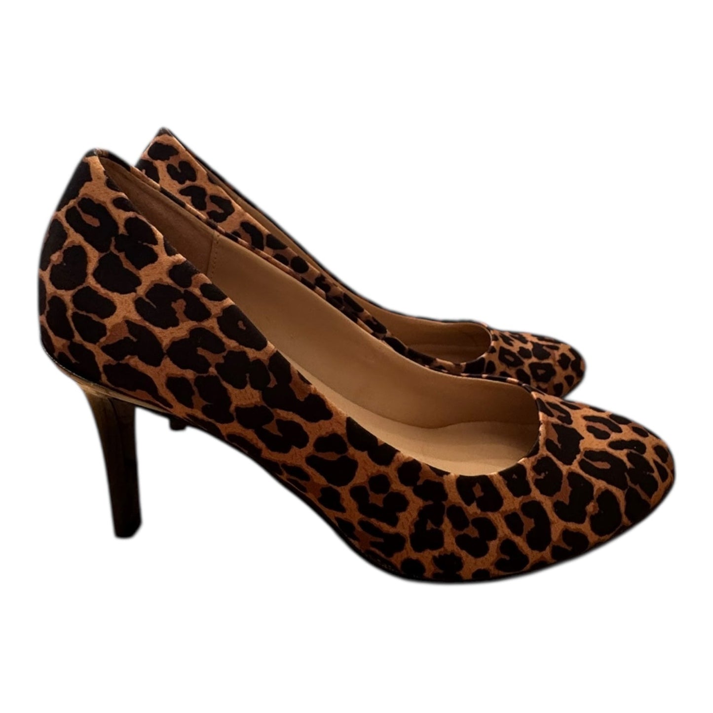 Shoes Heels Stiletto By Bandolino In Animal Print, Size:6.5