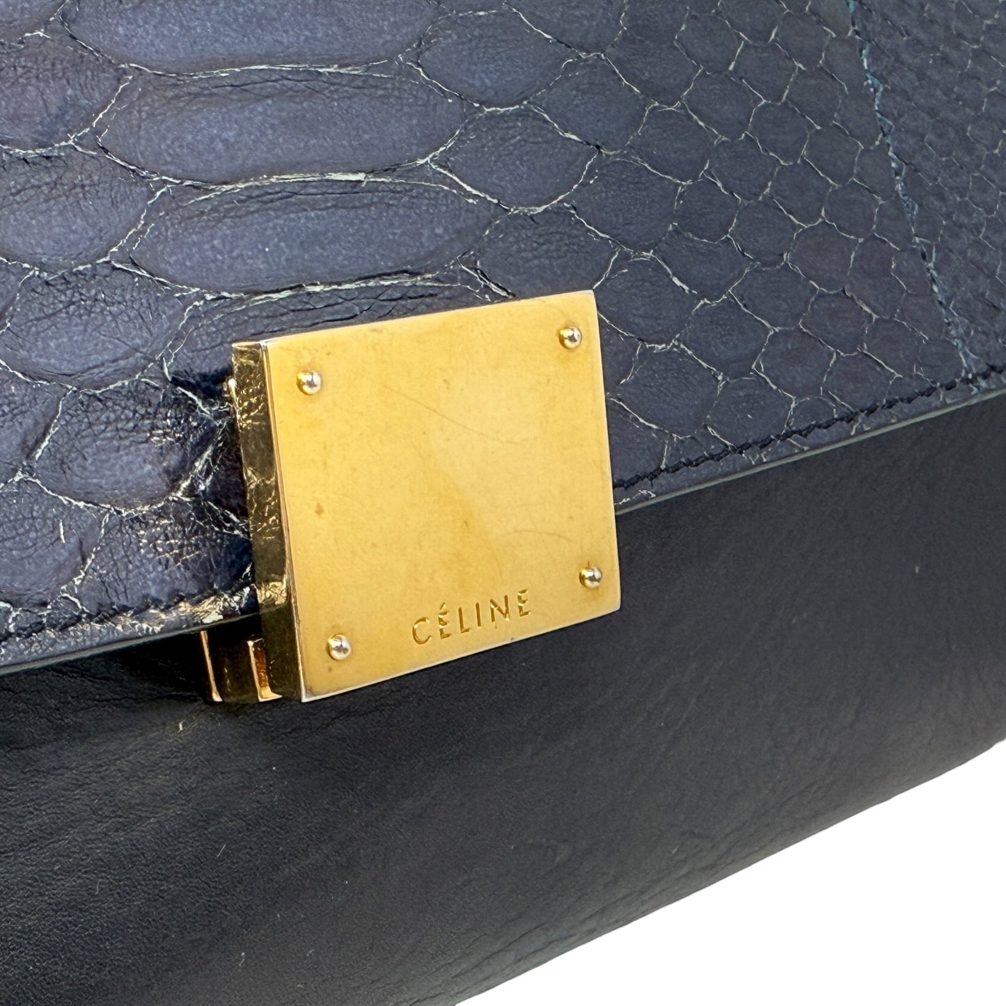 Python & Brown Suede Trapeze Bag Luxury Designer Label By Celine, Size: Large