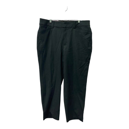Pants Cropped By Ava & Viv In Black, Size:16