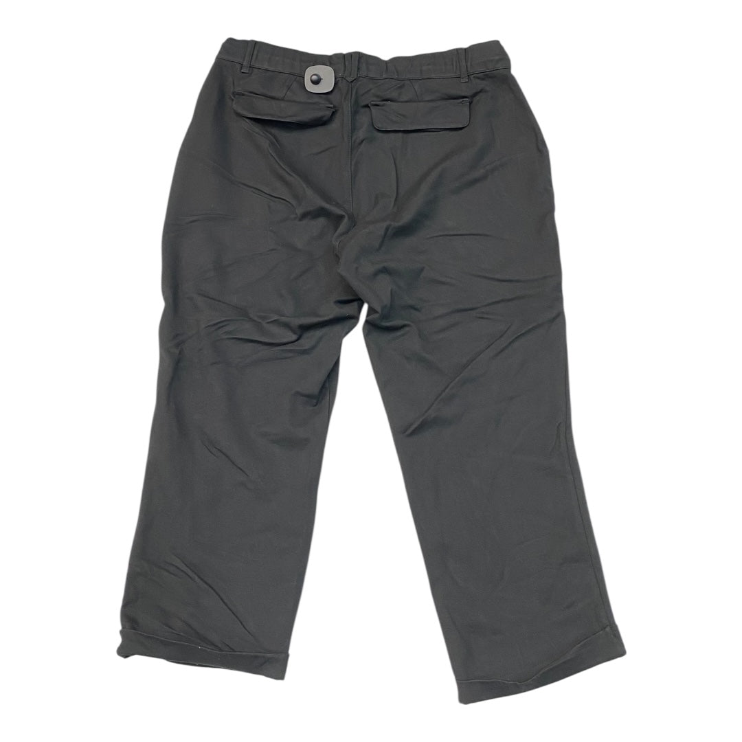 Pants Lounge By Democracy In Black, Size:2X