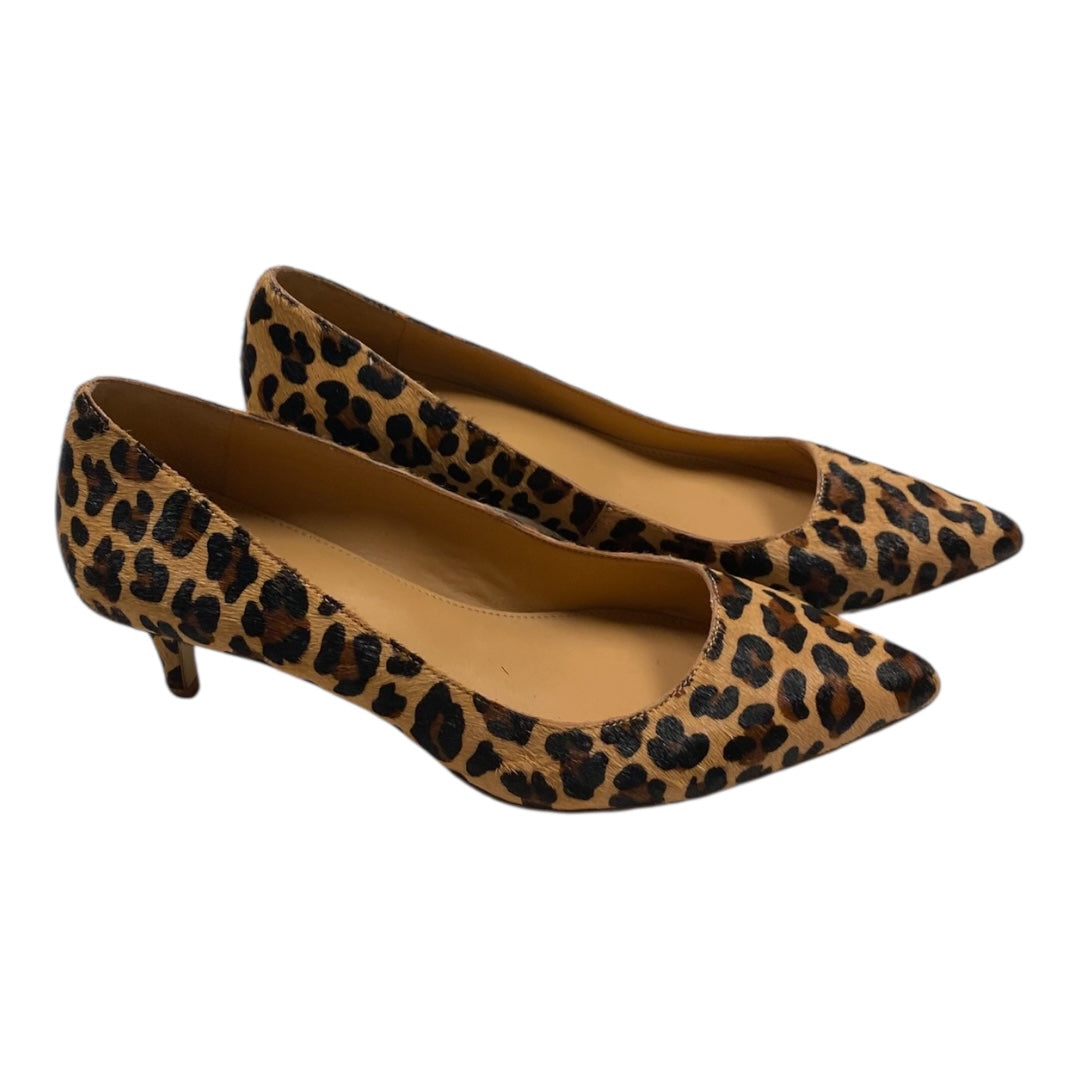 Shoes Heels Kitten By J. Crew In Animal Print, Size:8.5