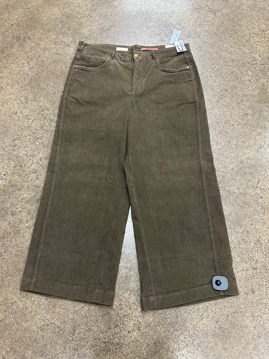 Pants Wide Leg By Pilcro In Green, Size:14P