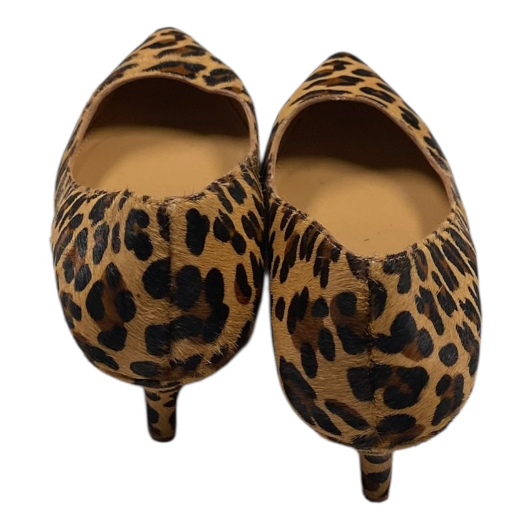 Shoes Heels Kitten By J. Crew In Animal Print, Size:8.5