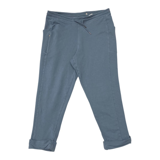 Athletic Pants By Patagonia In Blue, Size:L