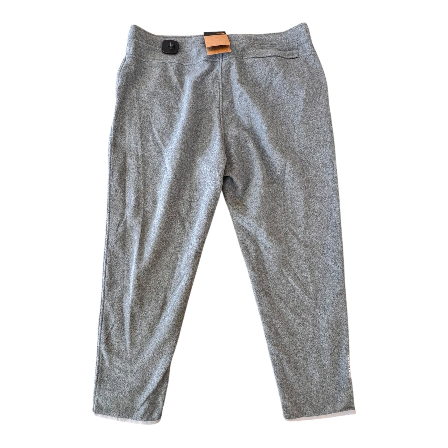 Athletic Pants Fleece By The North Face In Grey, Size:2X