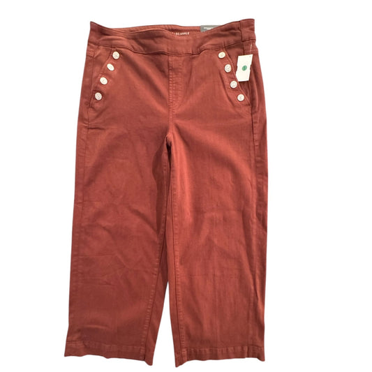 Pants Wide Leg By Chicos In Brown, Size:12P