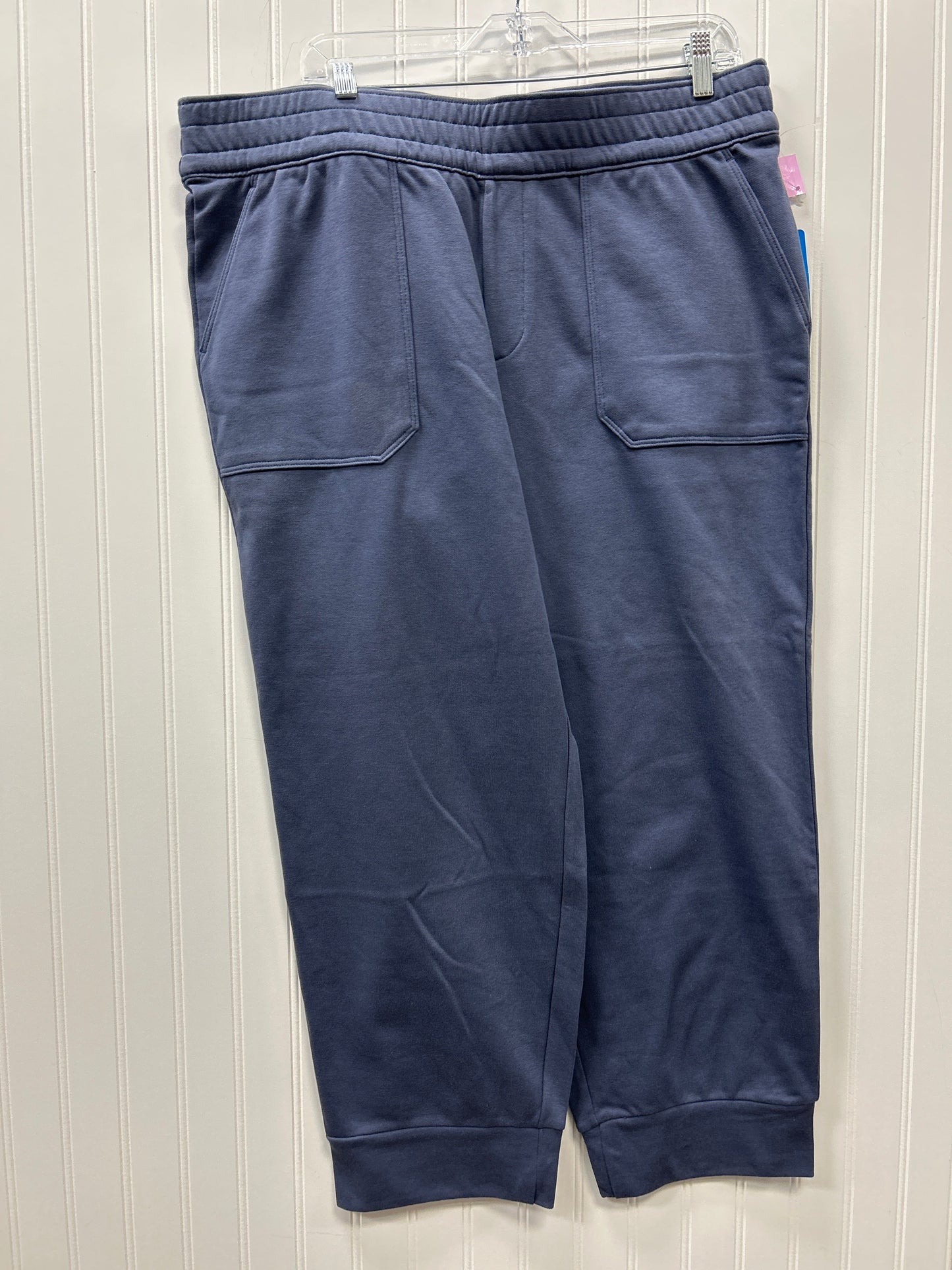 Athletic Pants By Columbia In Blue, Size:Xl