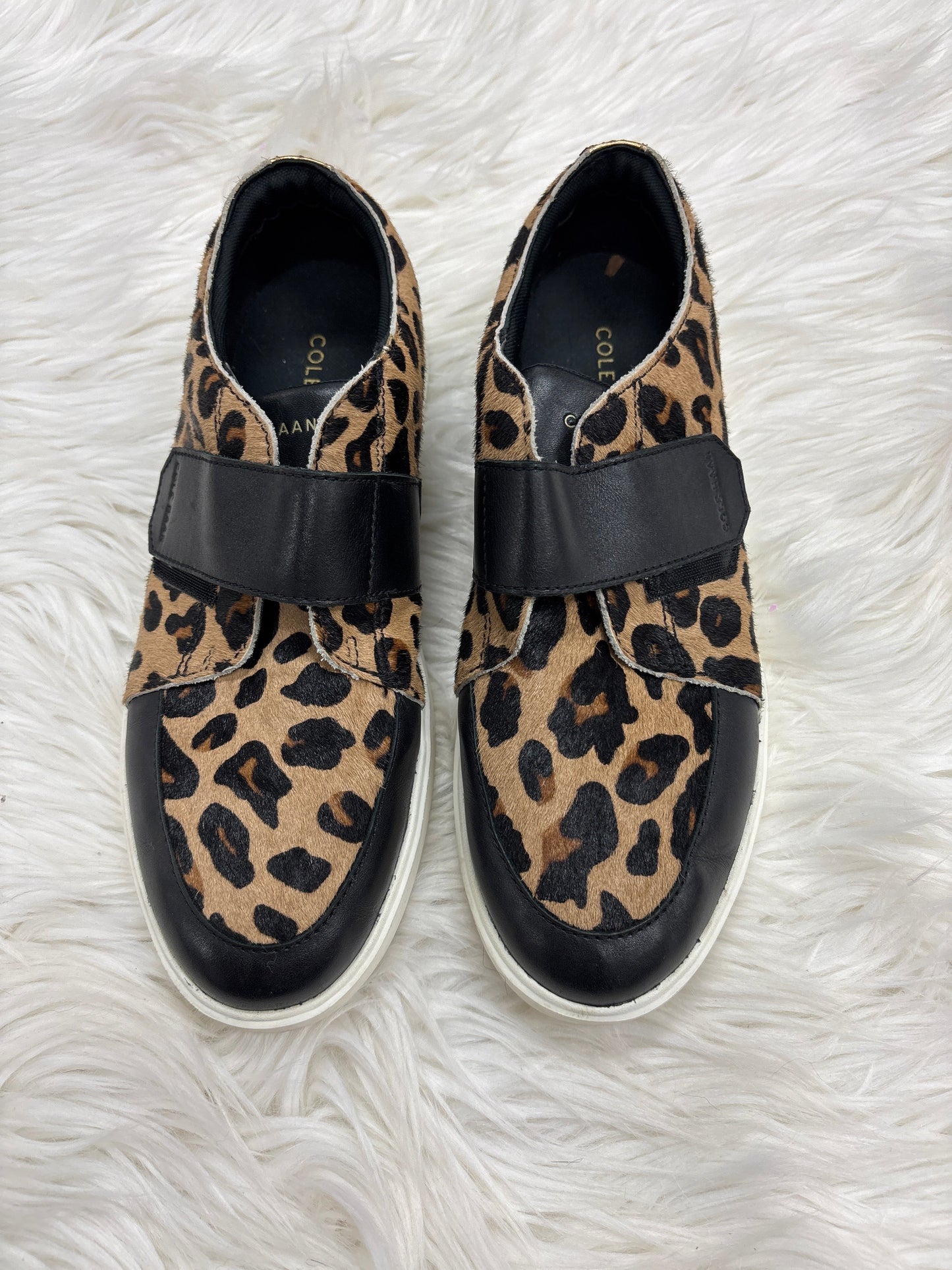 Shoes Sneakers By Cole-Haan In Leopard Print, Size:8