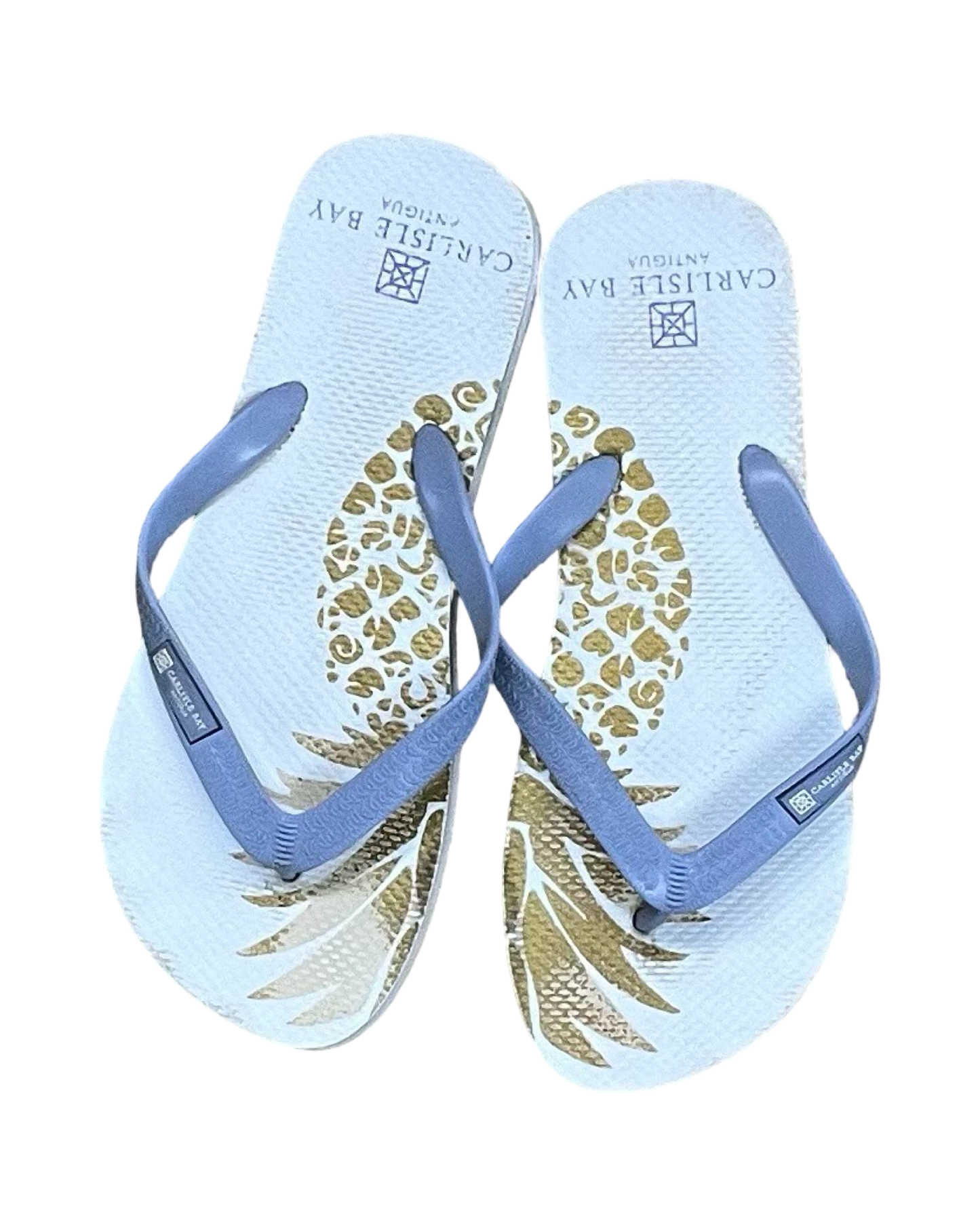 Sandals Flip Flops By Clothes Mentor In White, Size:10