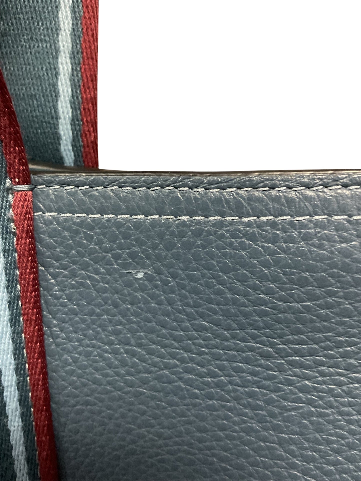 Handbag Designer By Coach In Blue, Size:Medium