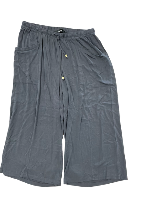 Pants Other By Torrid In Grey, Size:L