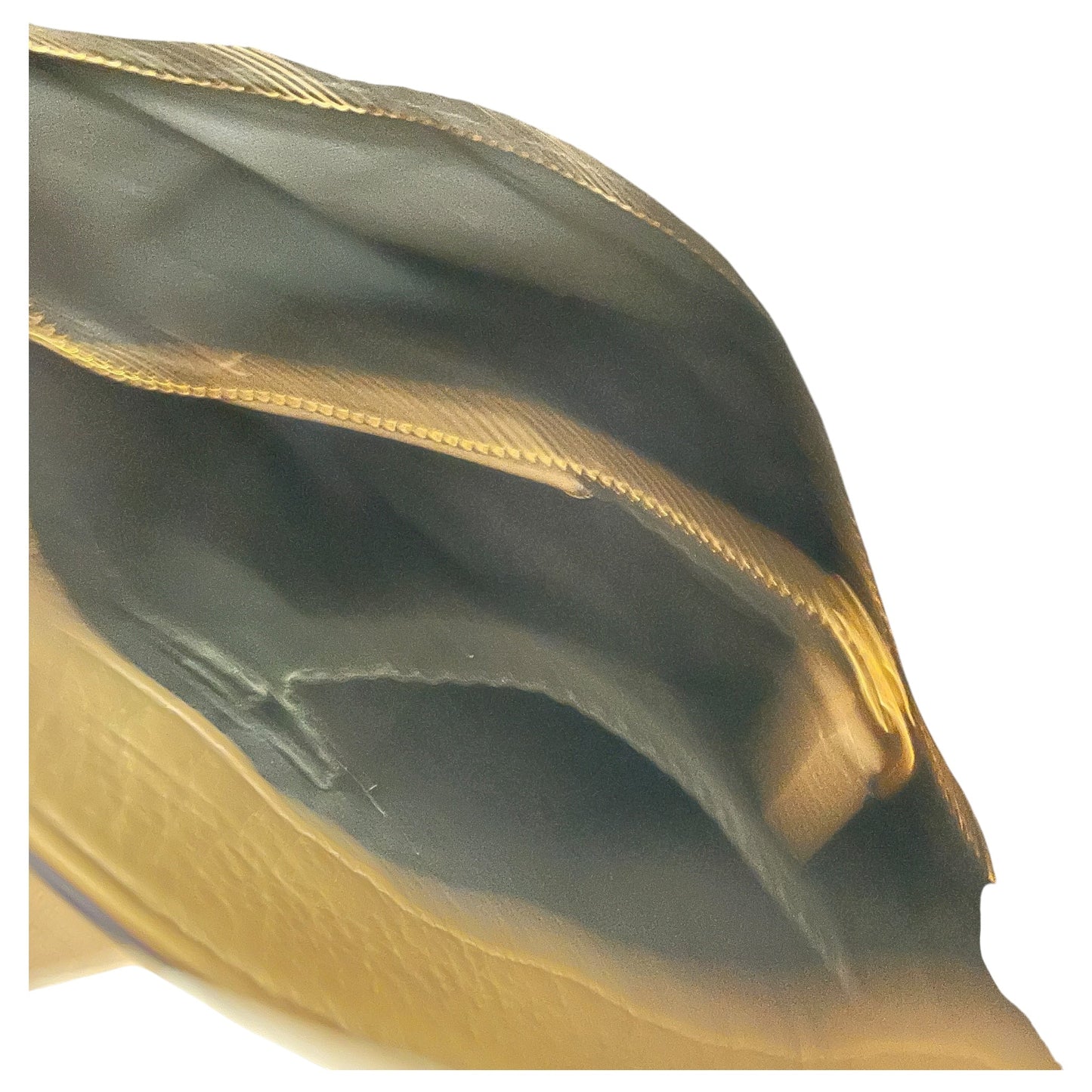 Crossbody Designer By Marc By Marc Jacobs In Tan, Size:Medium