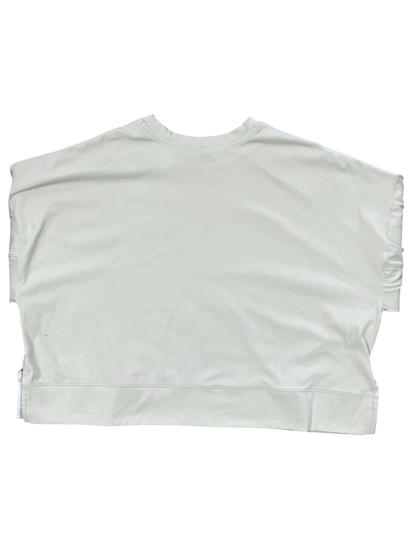 Sweatshirt Crewneck By Champion In Tan, Size:2X