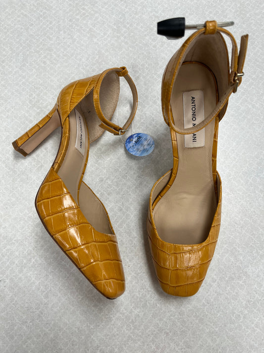 Shoes Heels Block By Antonio Melani In Gold, Size:7