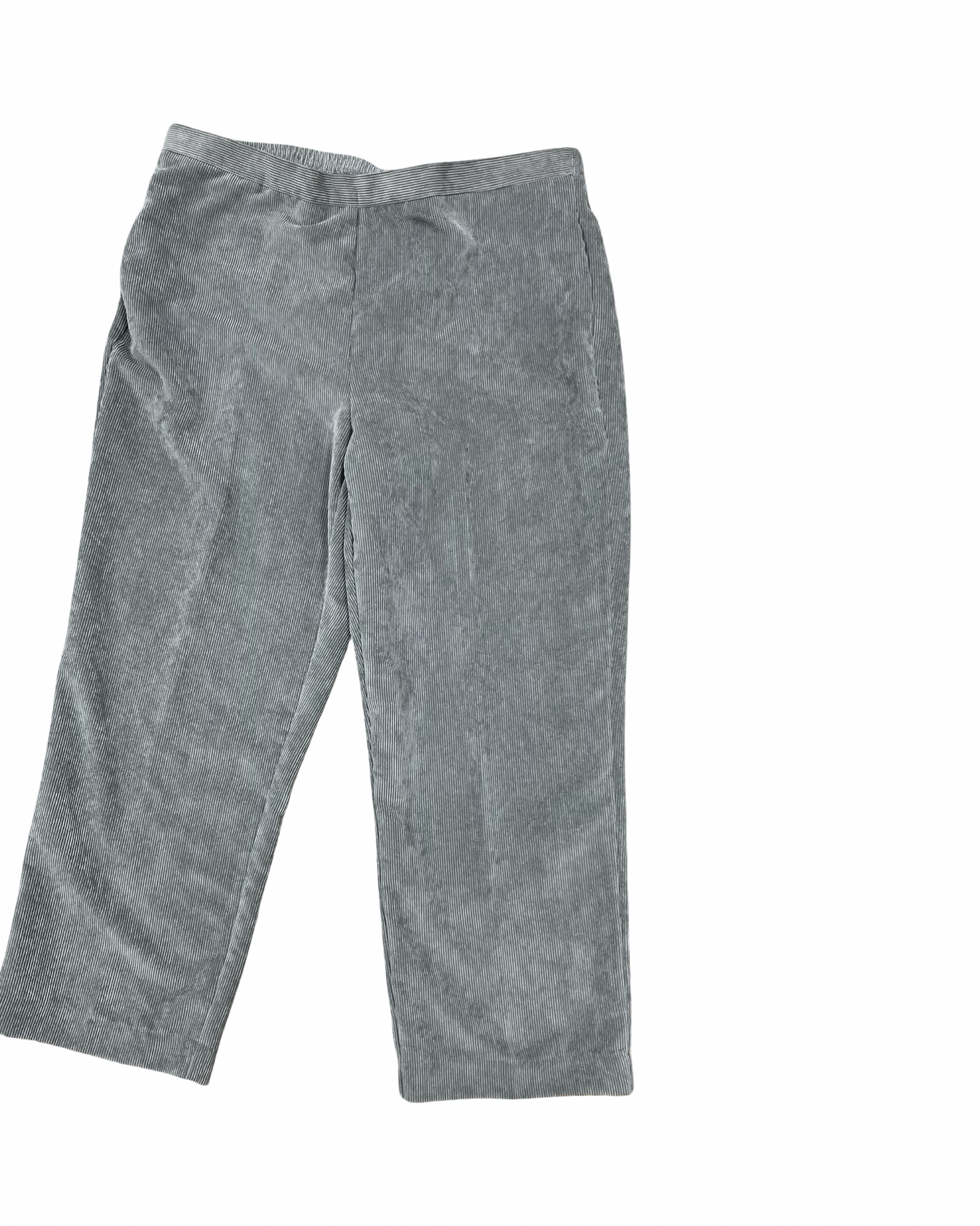 Pants Corduroy By Alfred Dunner In Grey, Size:18