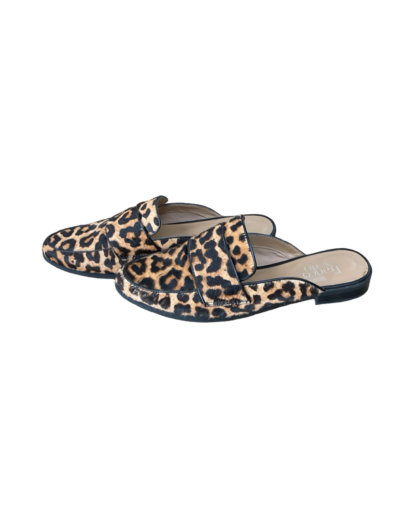 Shoes Flats By Franco Sarto In Leopard Print, Size:9.5