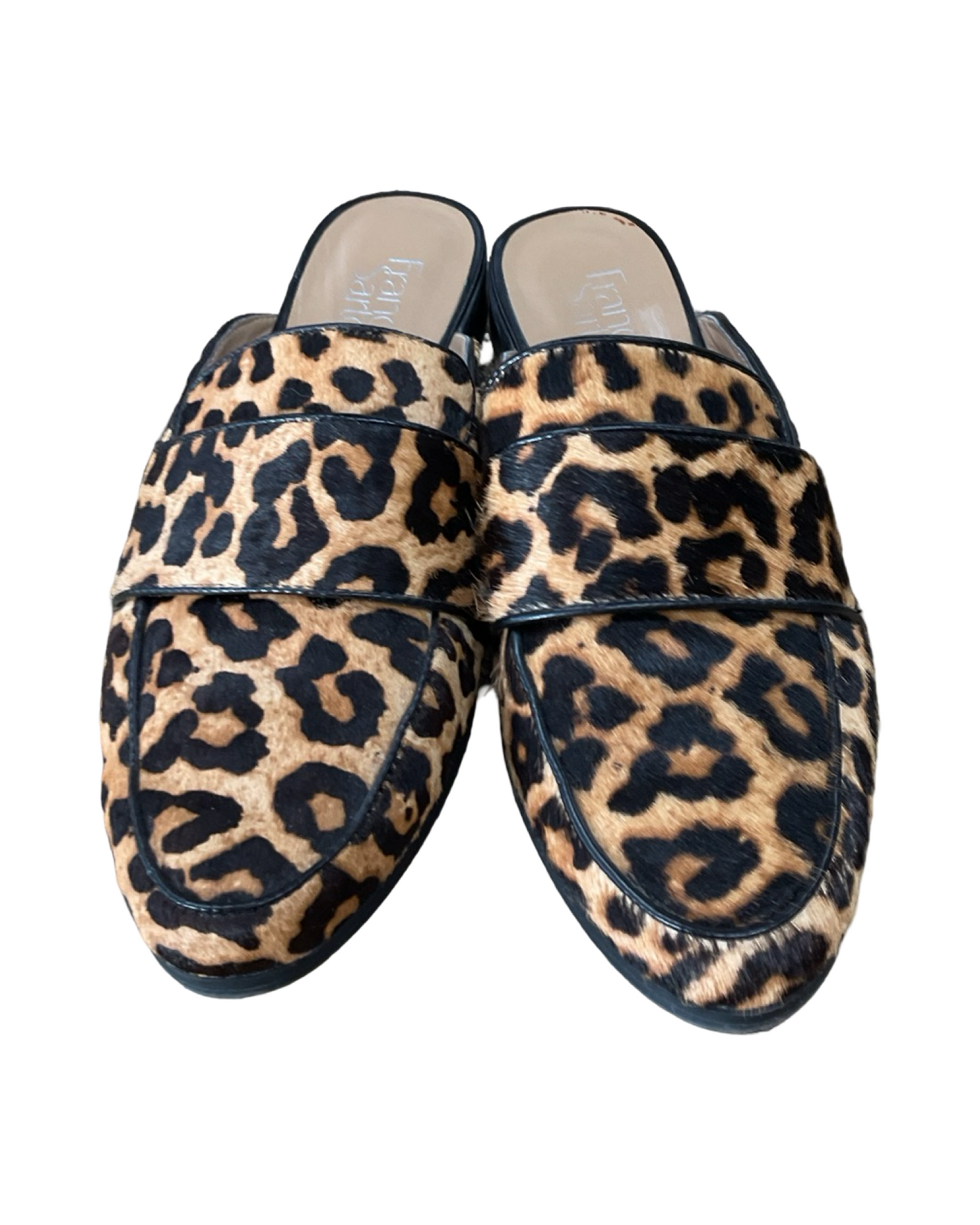 Shoes Flats By Franco Sarto In Leopard Print, Size:9.5