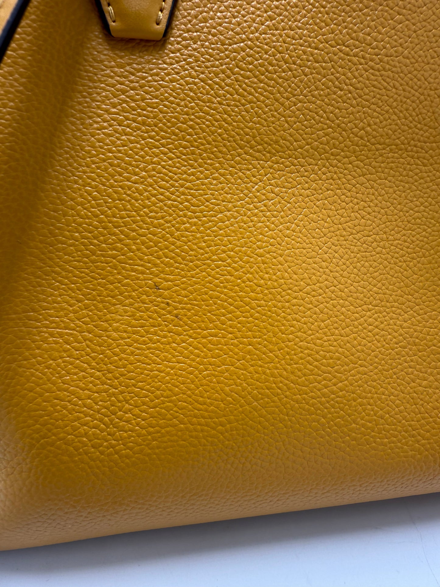 Handbag Designer By Kate Spade