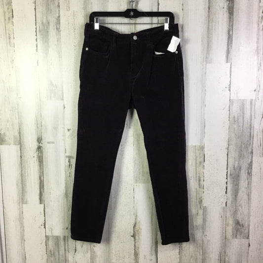 Pants Corduroy By Pilcro In Purple, Size:12