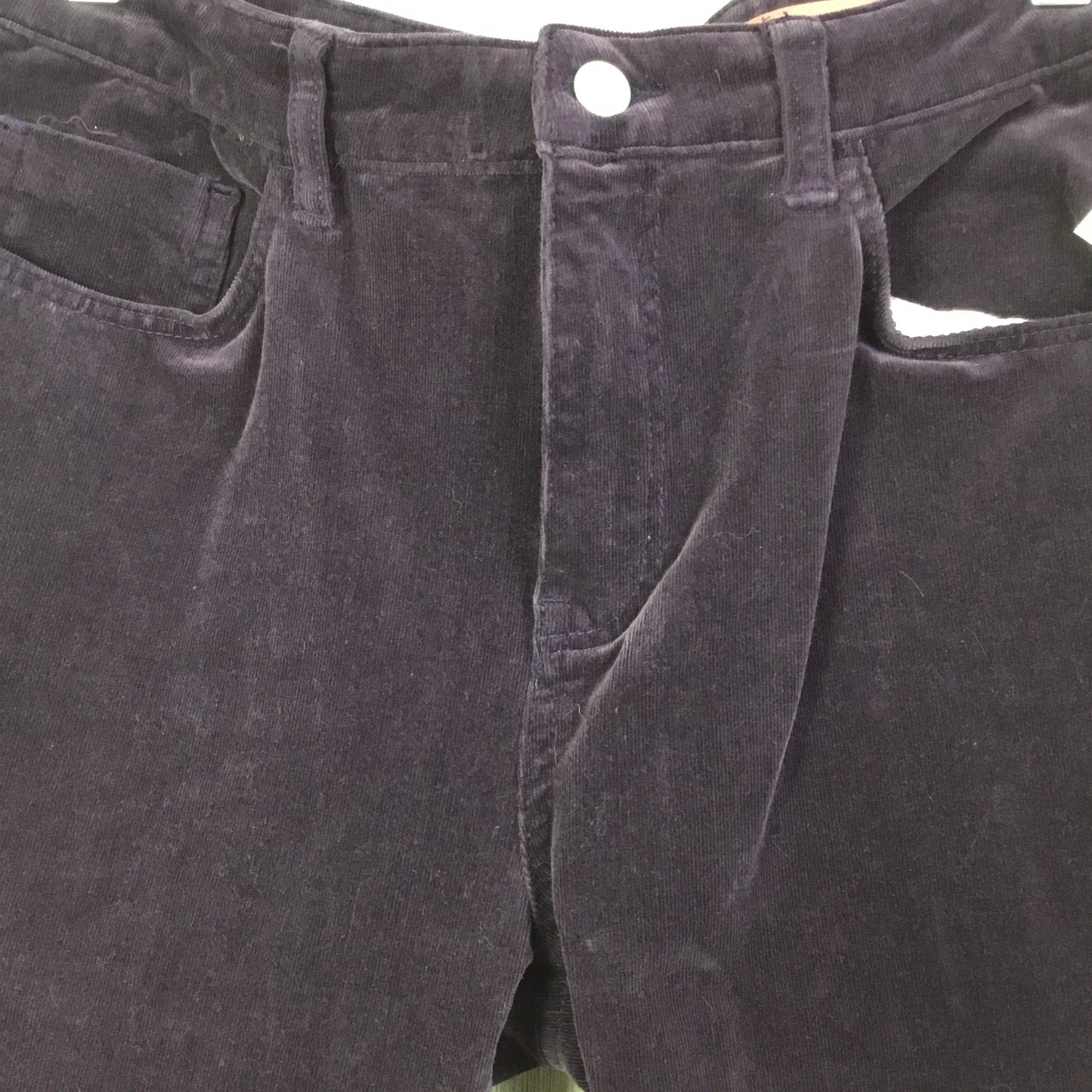 Pants Corduroy By Pilcro In Purple, Size:12