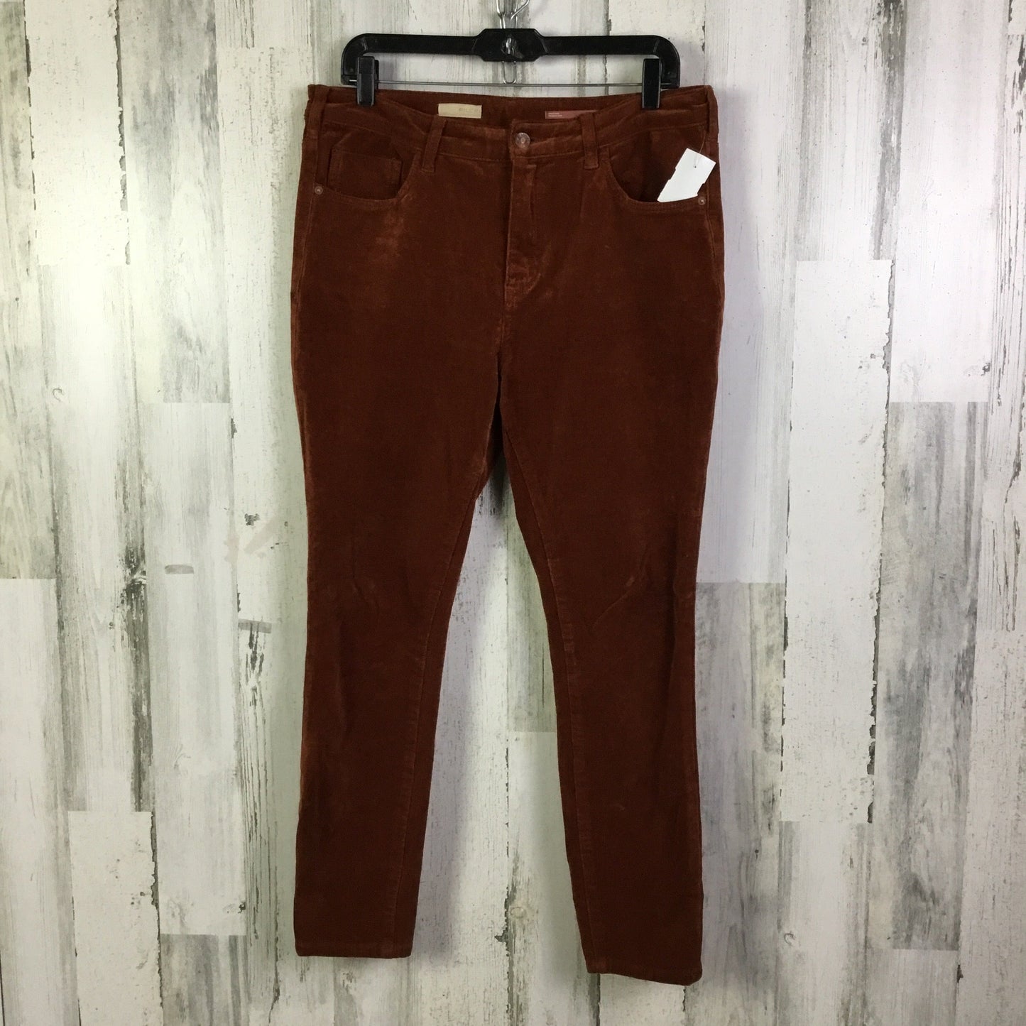 Pants Corduroy By Pilcro In Orange, Size:12