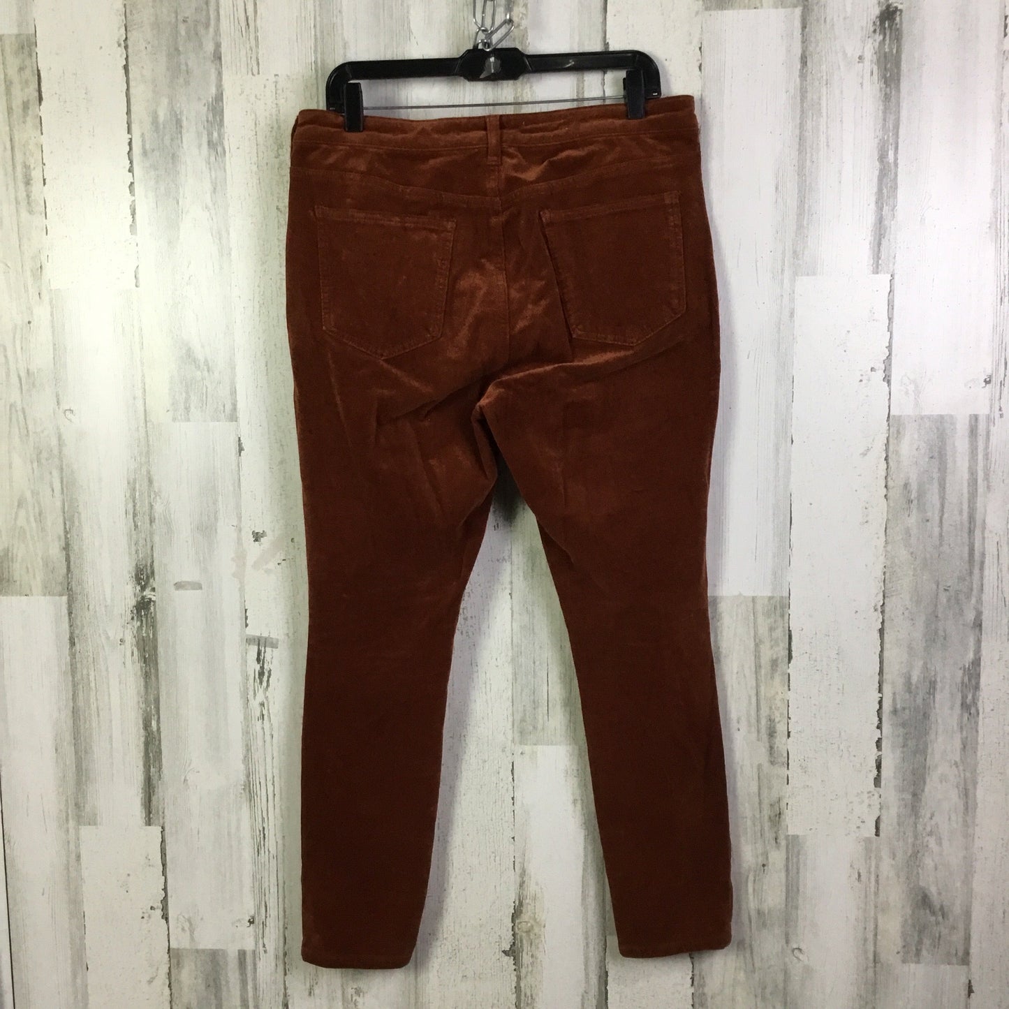 Pants Corduroy By Pilcro In Orange, Size:12