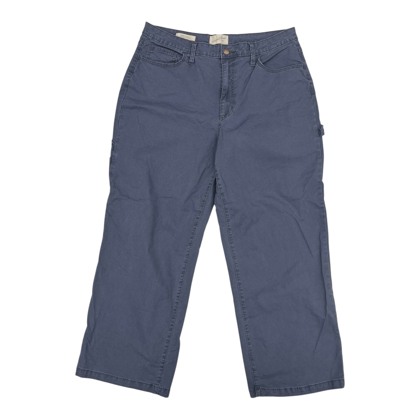 Pants Cargo & Utility By Universal Thread In Blue, Size:14