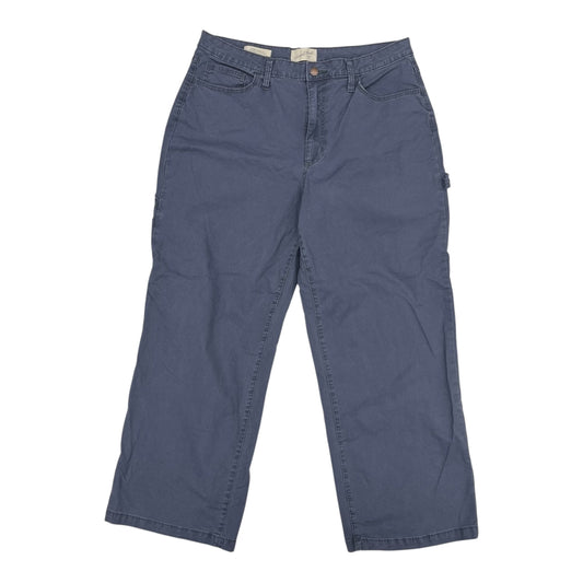 Pants Cargo & Utility By Universal Thread In Blue, Size:14