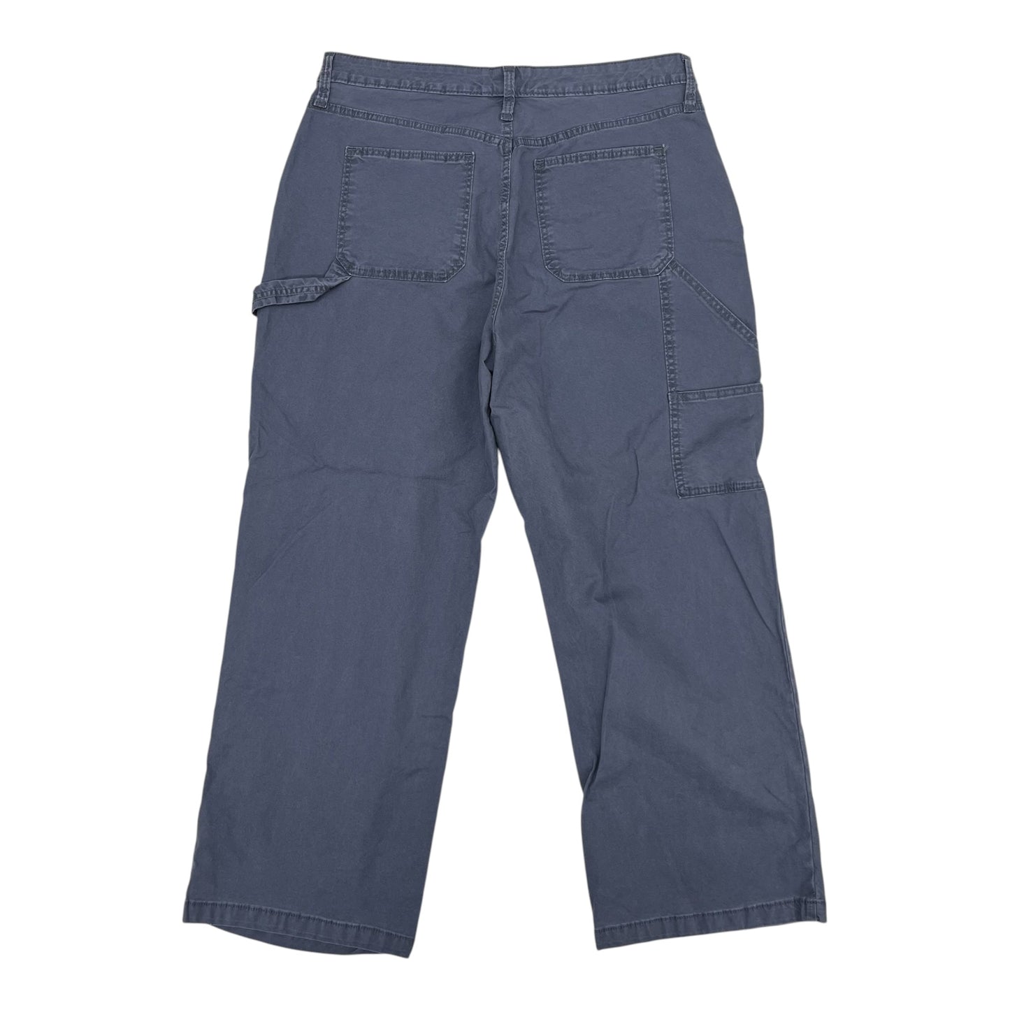 Pants Cargo & Utility By Universal Thread In Blue, Size:14