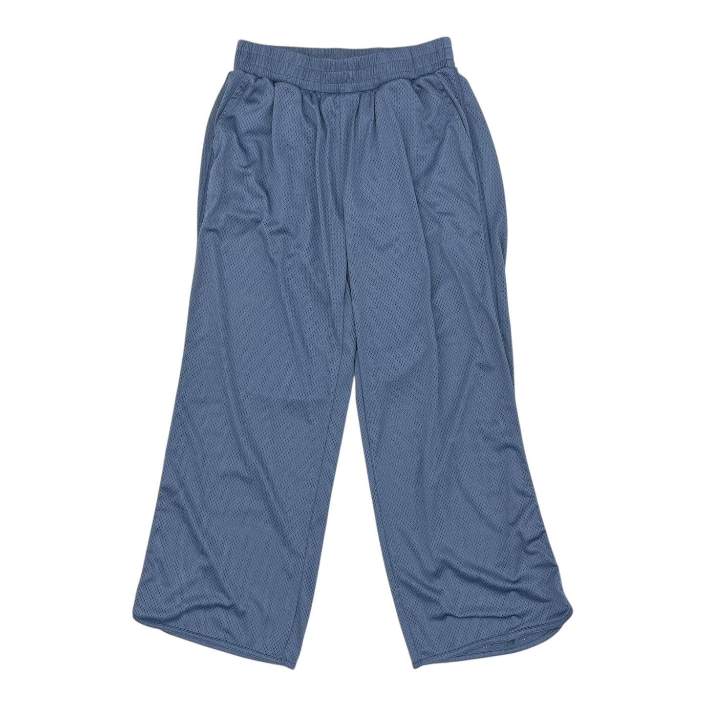 Athletic Pants By Aerie In Blue, Size:L