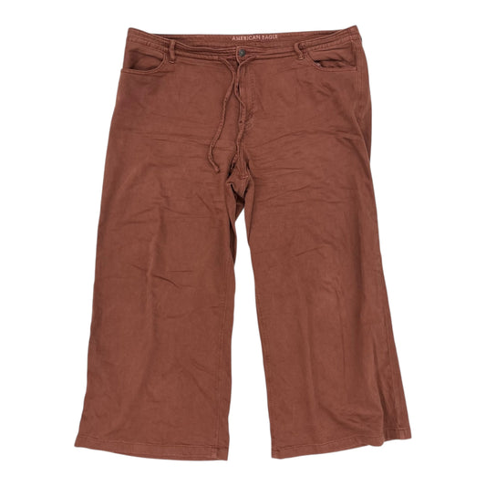 Pants Wide Leg By American Eagle In Brown, Size:20