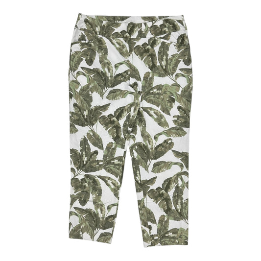 Pants Chinos & Khakis By Chicos In Green & White, Size:L