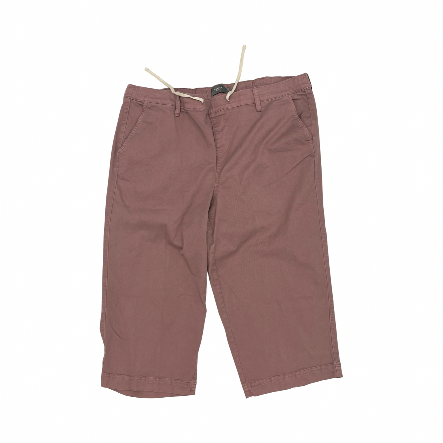 Pants Other By Torrid In Mauve, Size:3X
