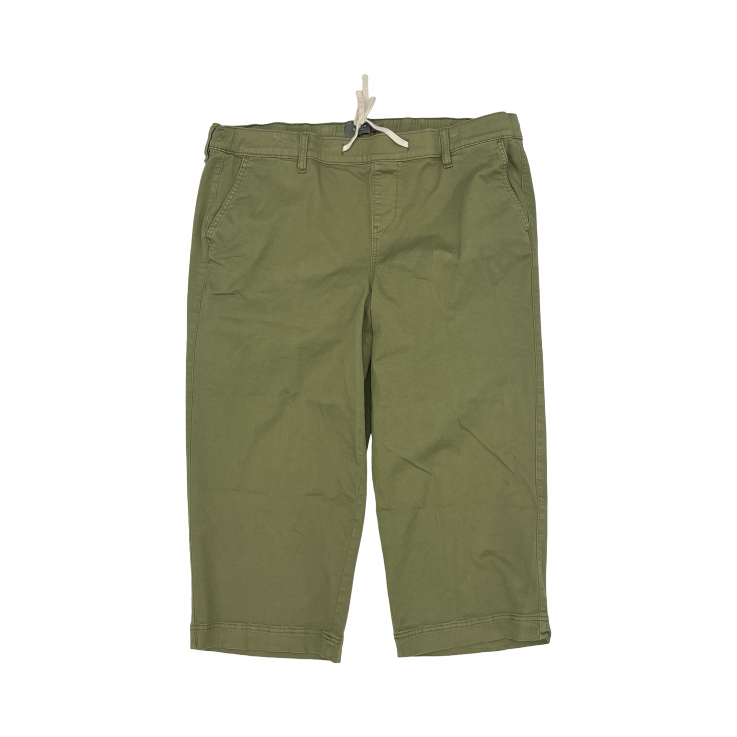 Pants Other By Torrid In Green, Size:3X