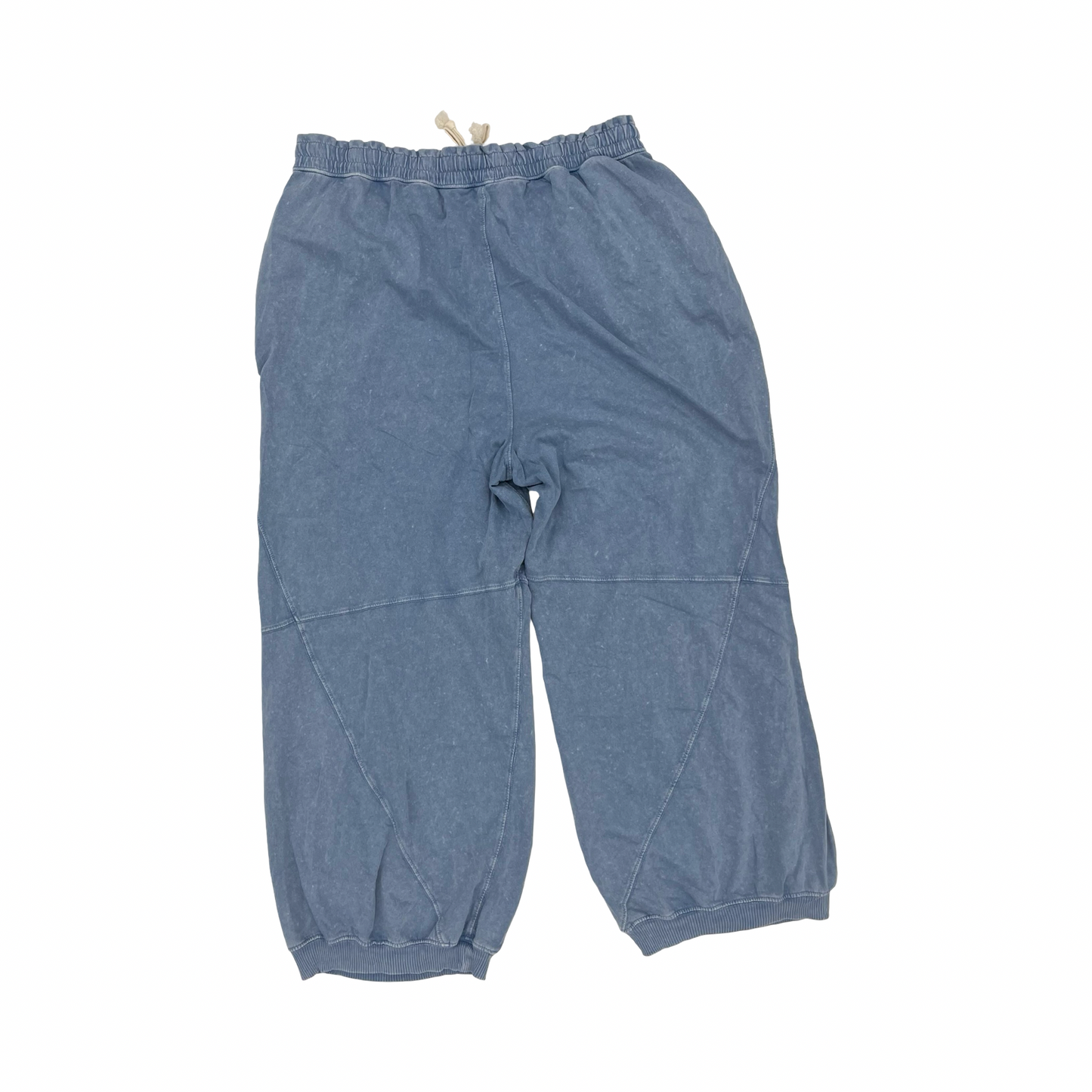 Pants Other By Aerie In Blue, Size:Xl