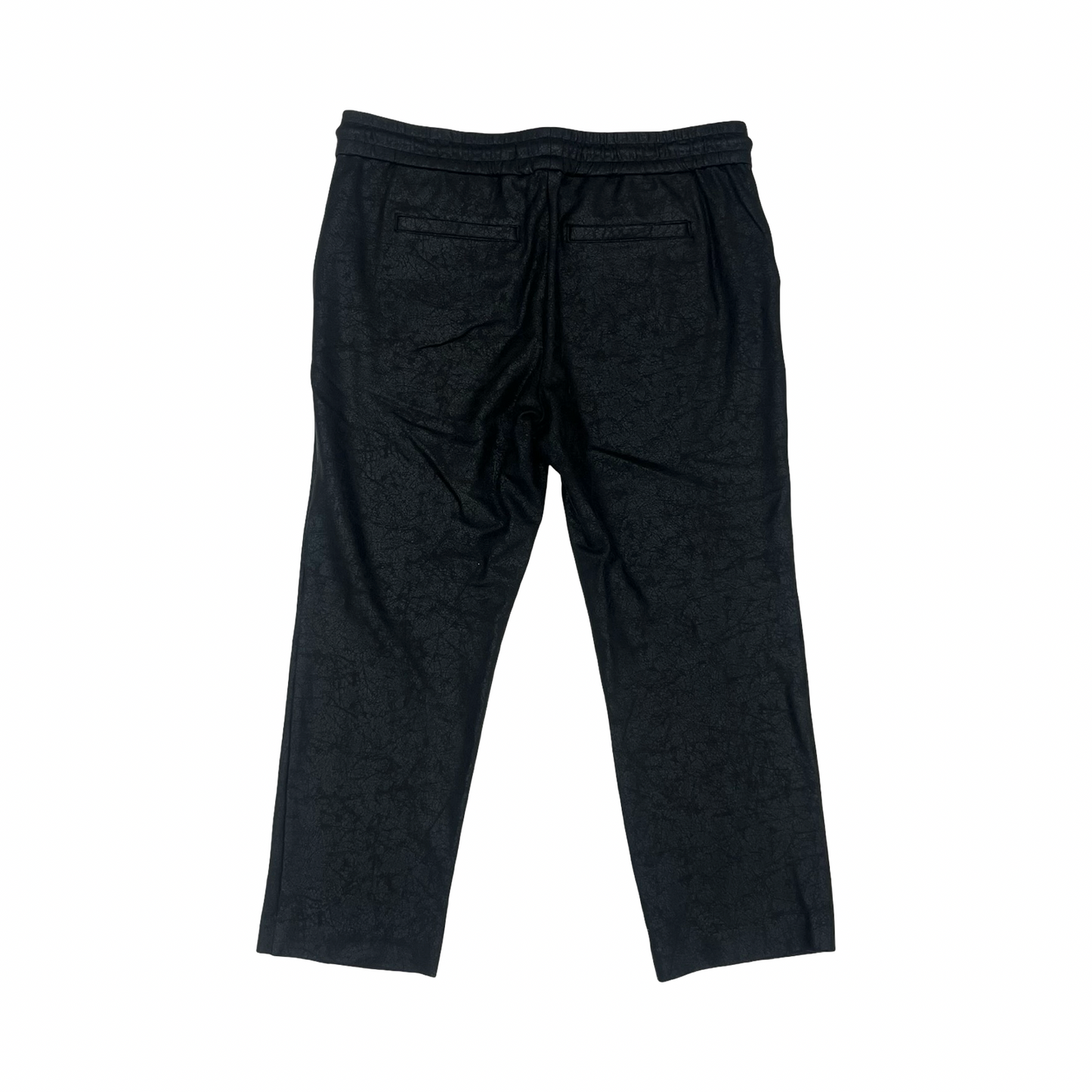 Pants Other By Liverpool In Black, Size:L