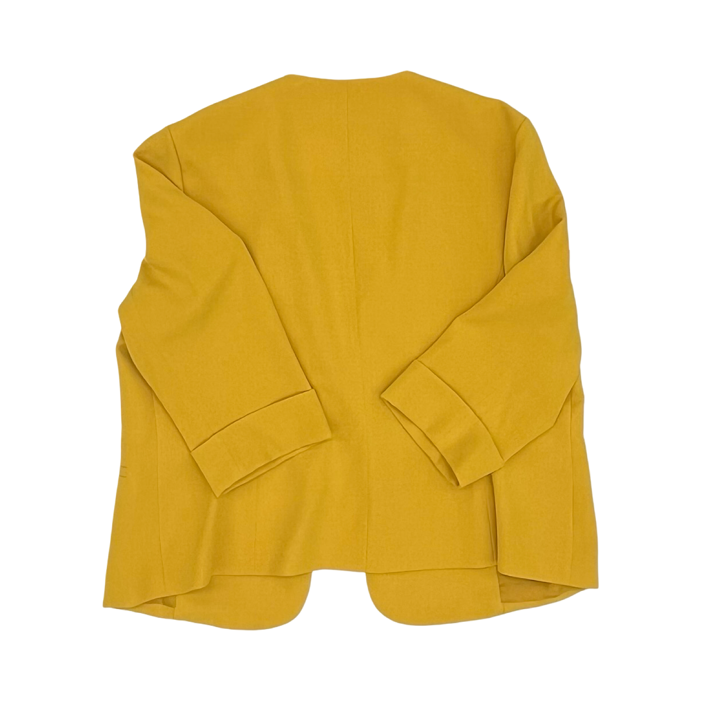 Blazer By Black Label In Yellow, Size:1X