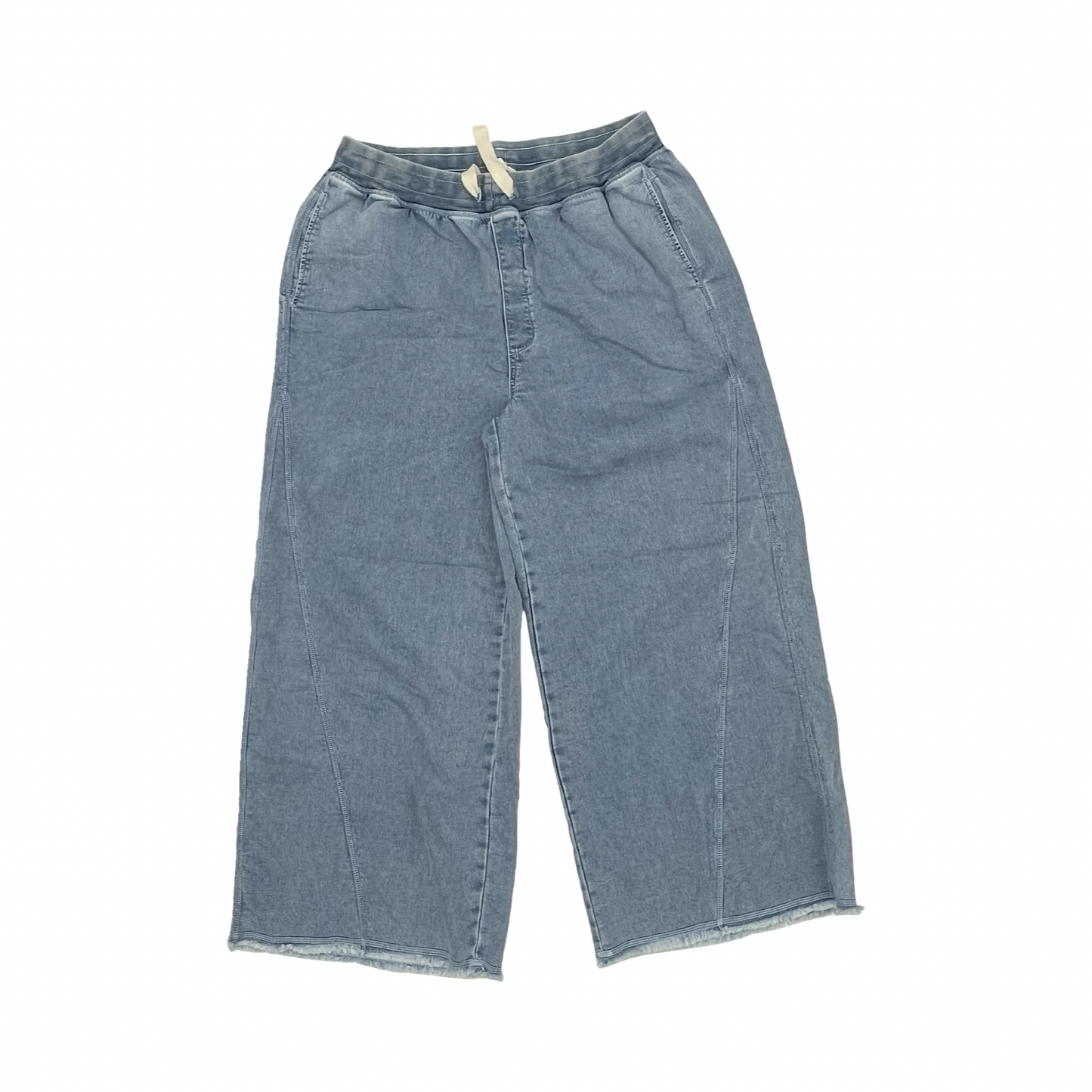 Pants Wide Leg By Aerie In Blue, Size:Xl