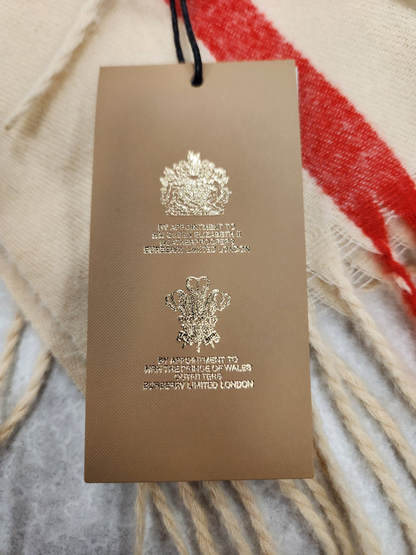 Scarf Luxury Designer By Burberry